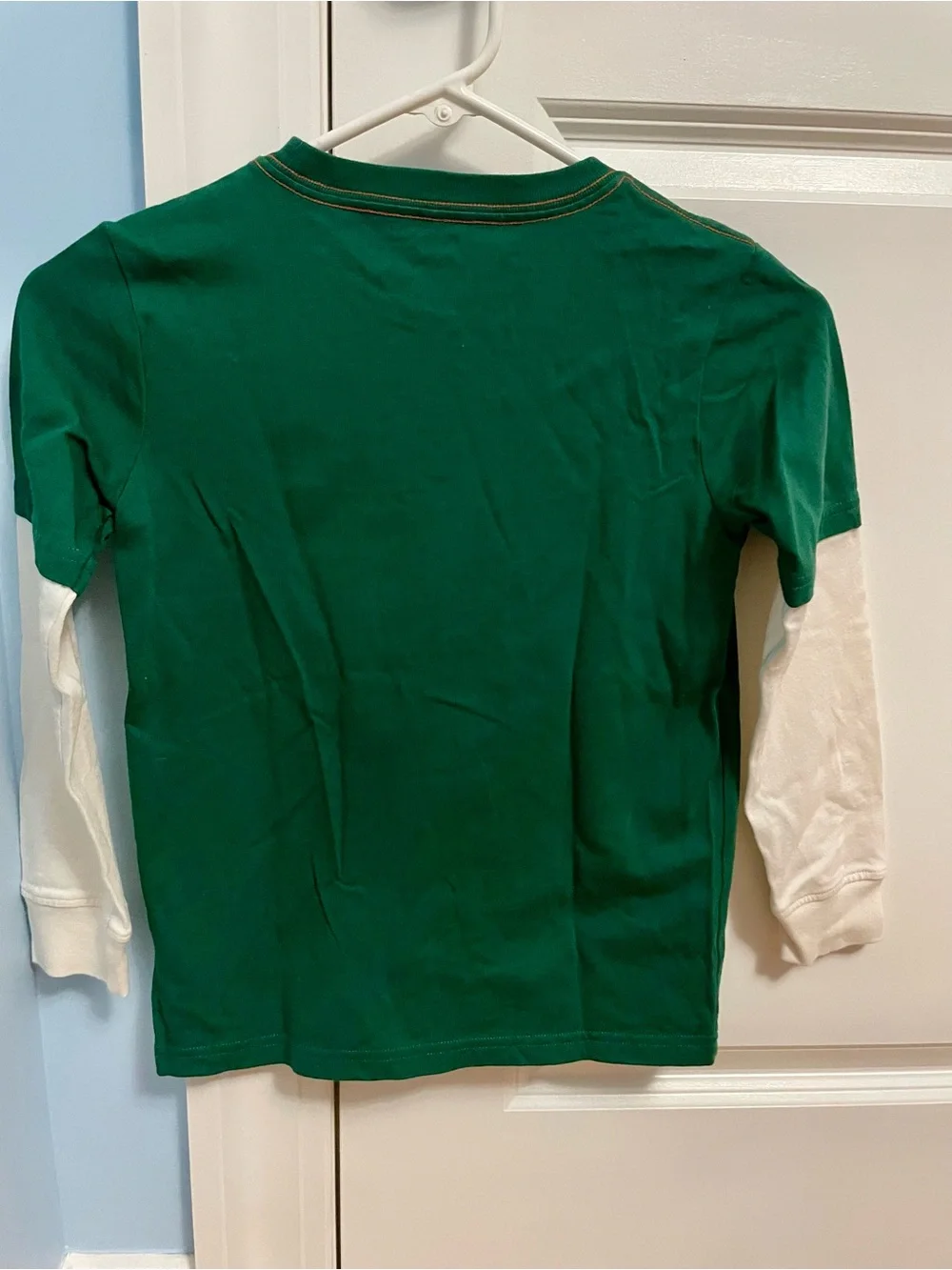 Gymboree Green Fox & Hedgehog Layered-Look Shirt